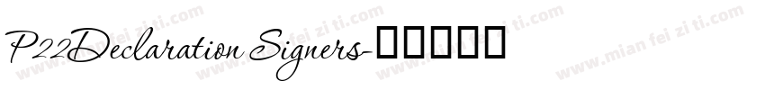 P22Declaration Signers字体转换